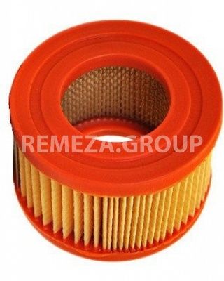 Патрон фильтра воздушного Remeza 4093100211 Патрон фильтра воздушного Remeza 4093100211 фото